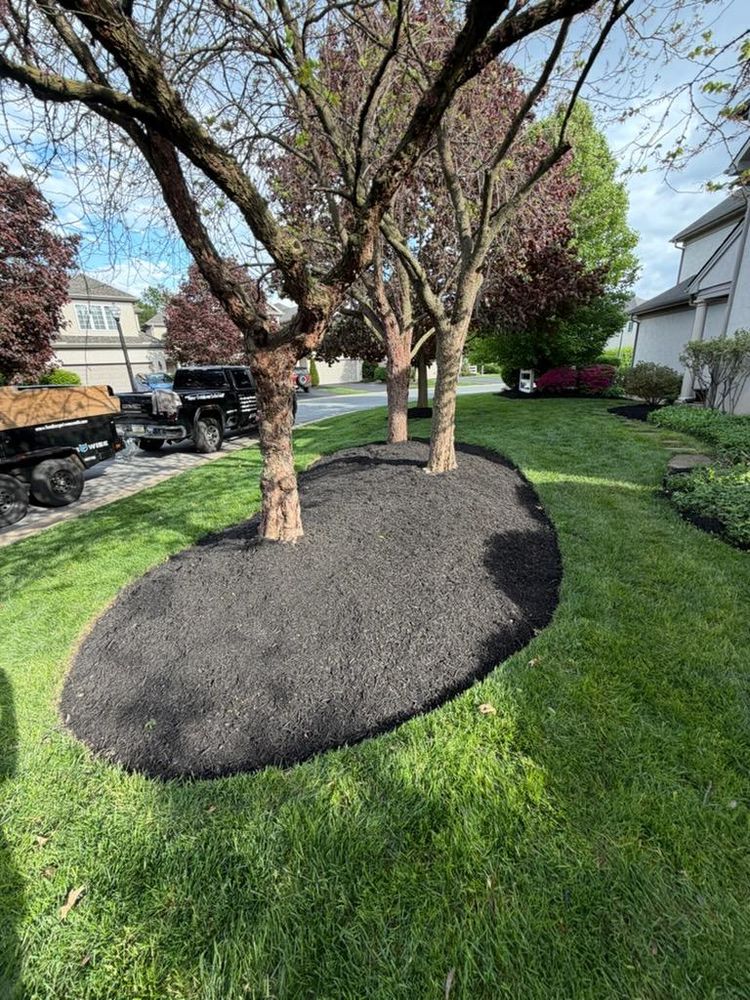 Our commercial landscaping service transforms your outdoor space into a beautiful, functional area with expert design and maintenance, enhancing your property's value and curb appeal effortlessly. for Landscape & Lawn Care Pros in Temple, PA