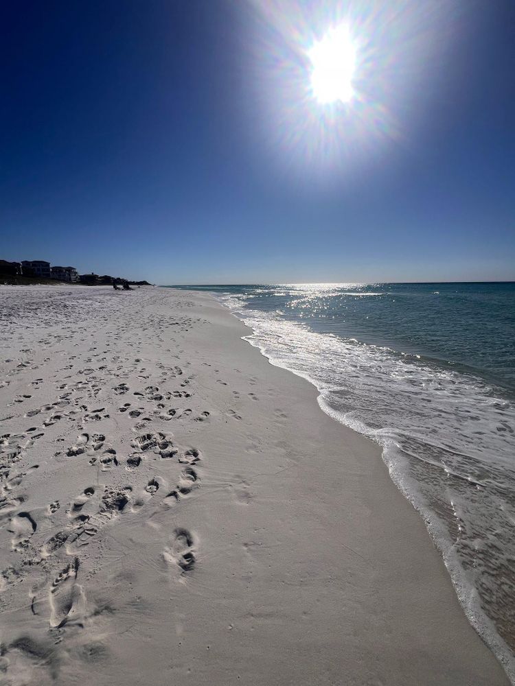 Landscape design projects for Everything for the Home Inc. in Destin, FL