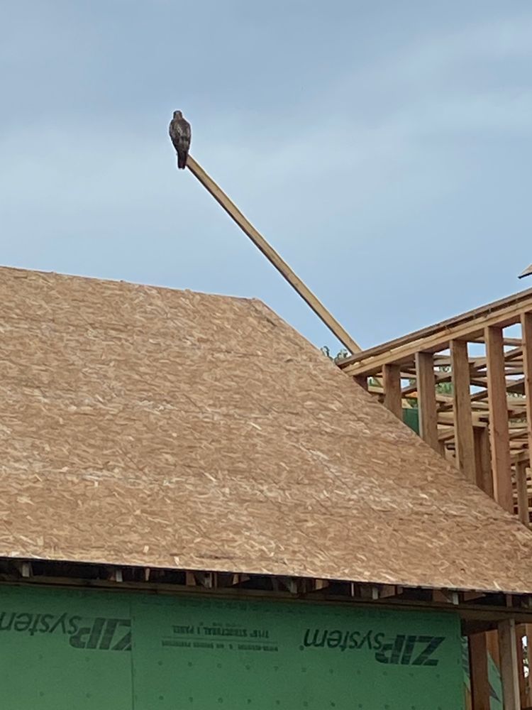 All Photos for Midwest Framing in Lawrence, KS