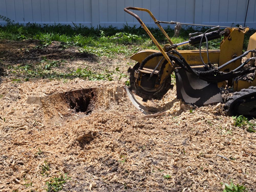 All Photos for Near Me Tree Service, Inc. in DeLand, FL