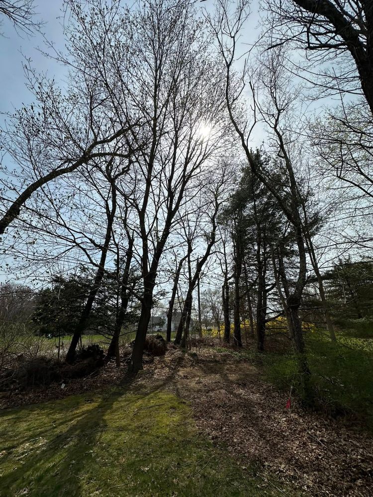 All Photos for Silver City Tree and Landscape in Taunton, MA