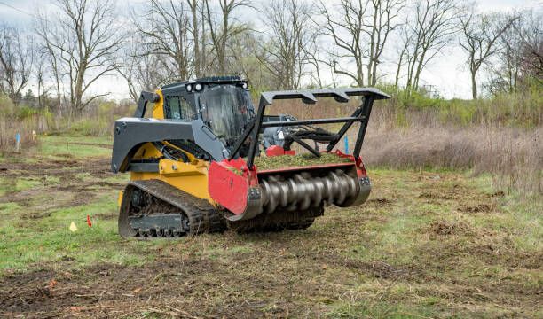 Our Forestry Mulching service efficiently clears overgrown land by transforming unwanted vegetation into nutrient-rich mulch, promoting healthier soil and creating a clean canvas for your ideal landscape design. for Pleasant Valley Land Management  in Westminster, MD