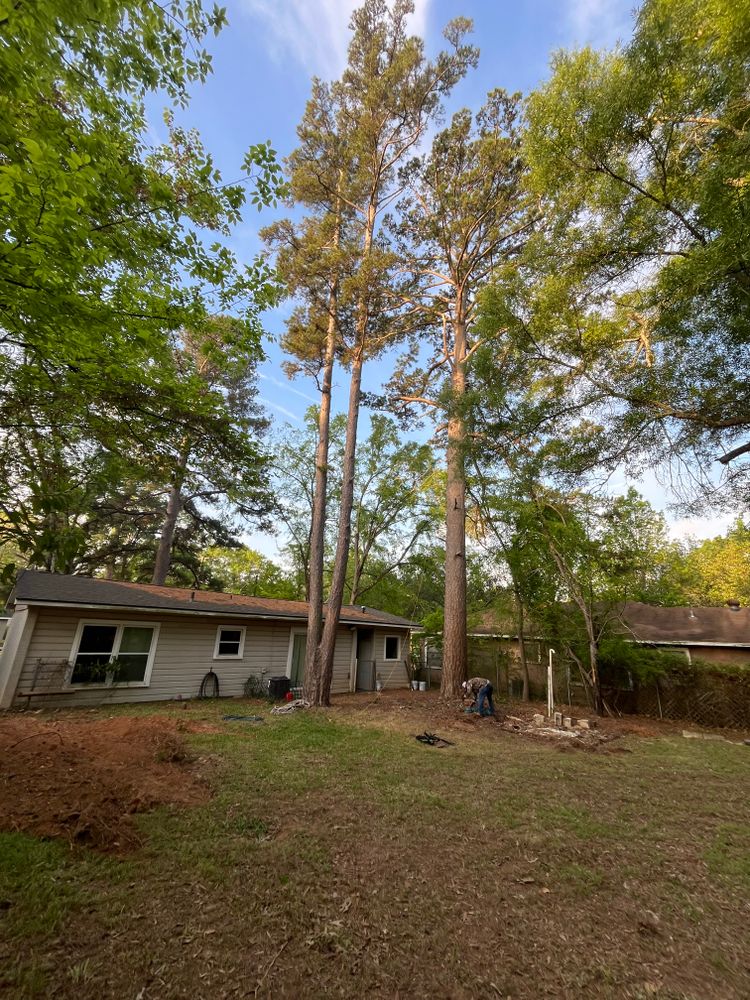All Photos for JC Land and Tree Service in Kilgore, TX