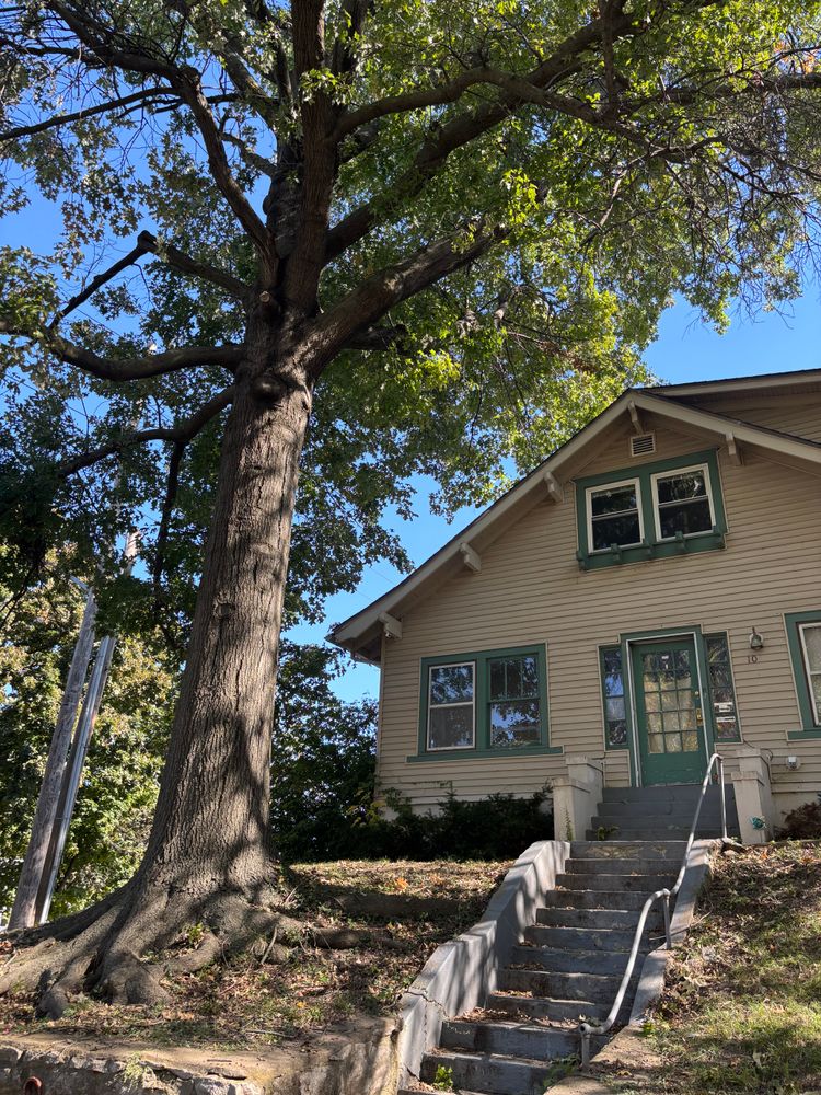 All Photos for Cross Family Tree Service in Kearney, MO