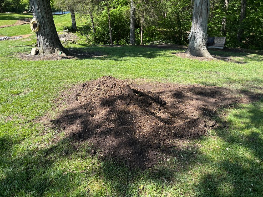 All Photos for Conrad's Stump Removal in Columbus, IN