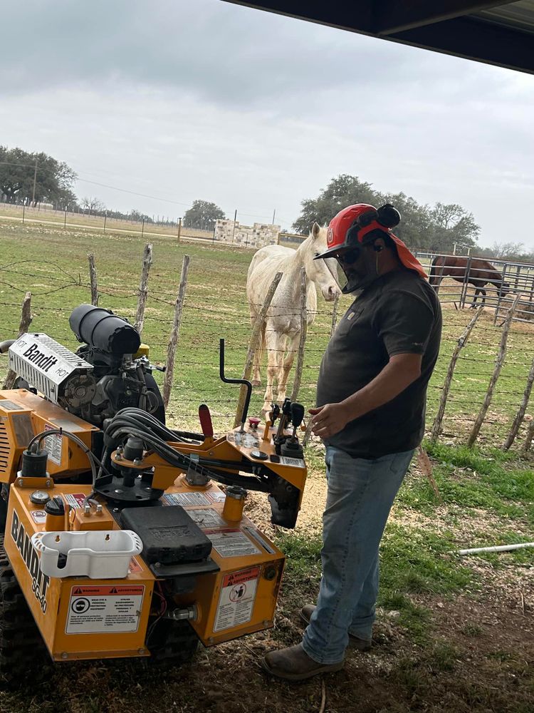 All Photos for West Stump Grinding in Temple, TX