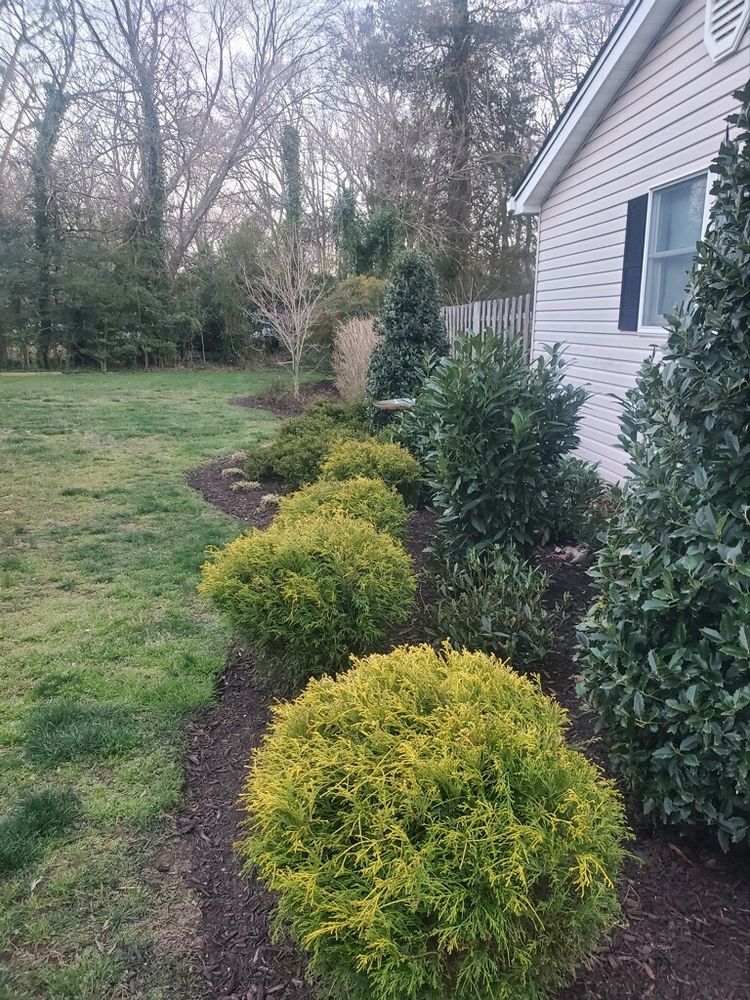 All Photos for R Merkli Inc. in Mount Vernon , VA