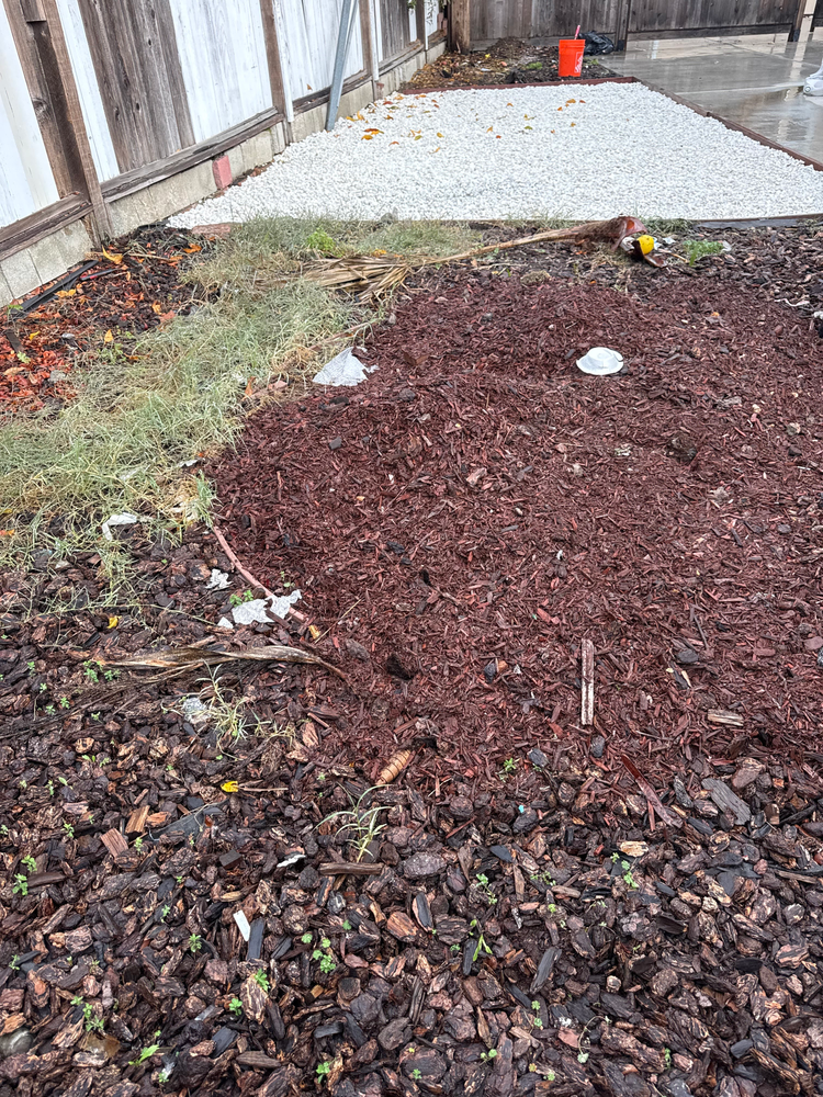 All Photos for CBA Landscaping in Hayward, CA