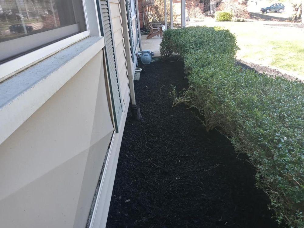 All Photos for Mow Pros in Westland, MI