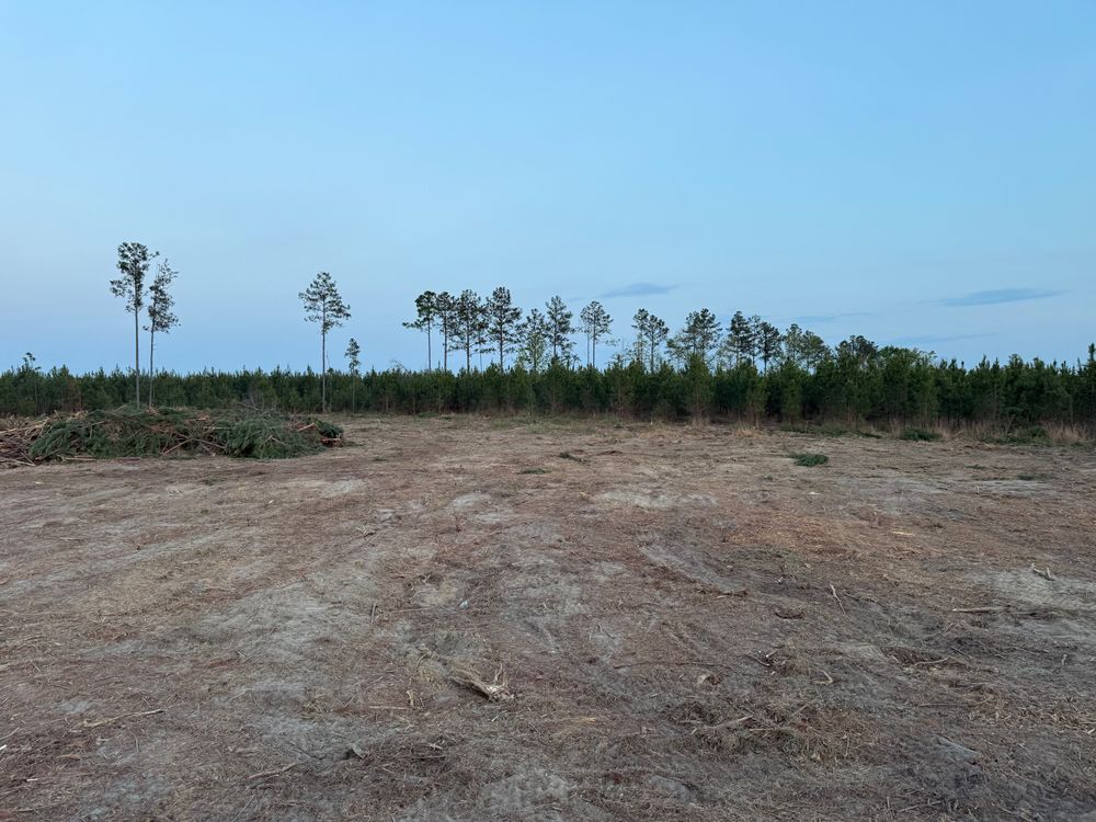 All Photos for T N L - Tree and Land Service in Reynolds, GA