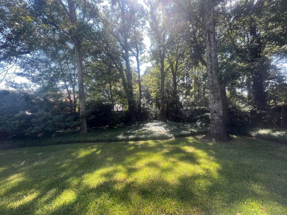 All Photos for All-Star Lawn Care & Soft Washing in Mobile, AL