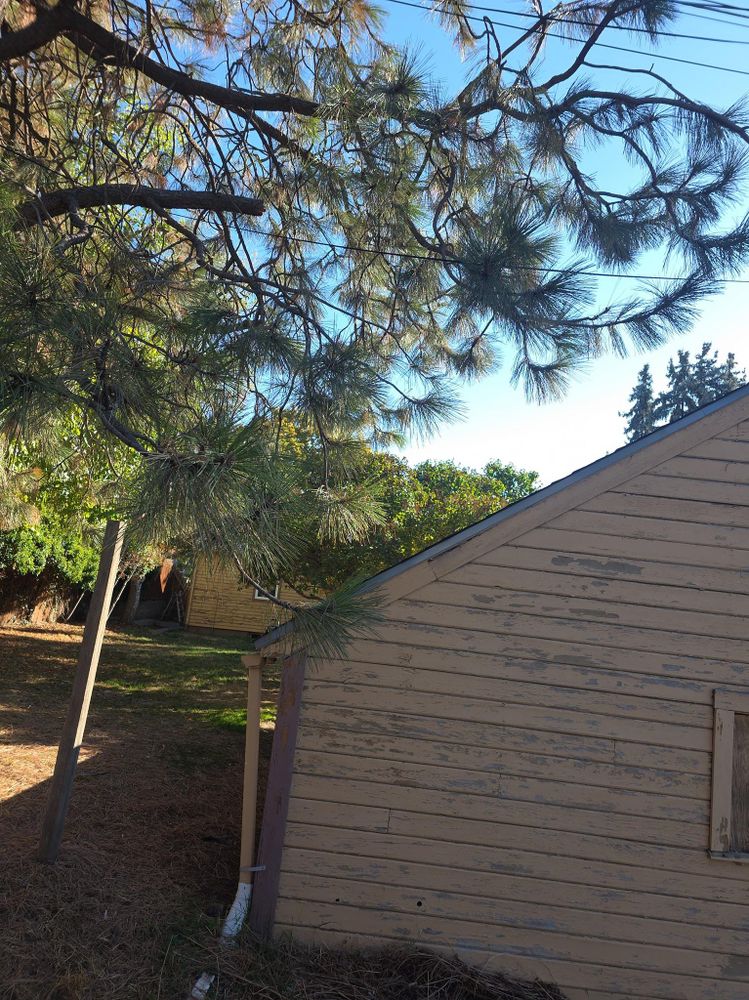 All Photos for Rob's Odd Jobs in Moscow, ID