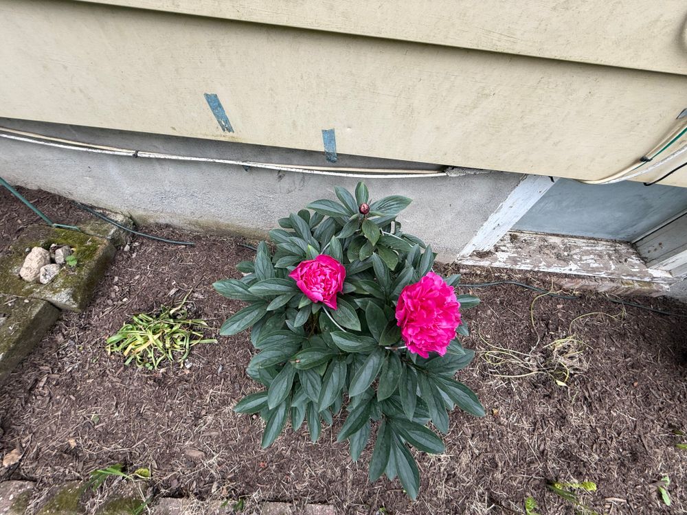 All Photos for Ardisi Property Maintenance LLC in Poughkeepsie, NY 