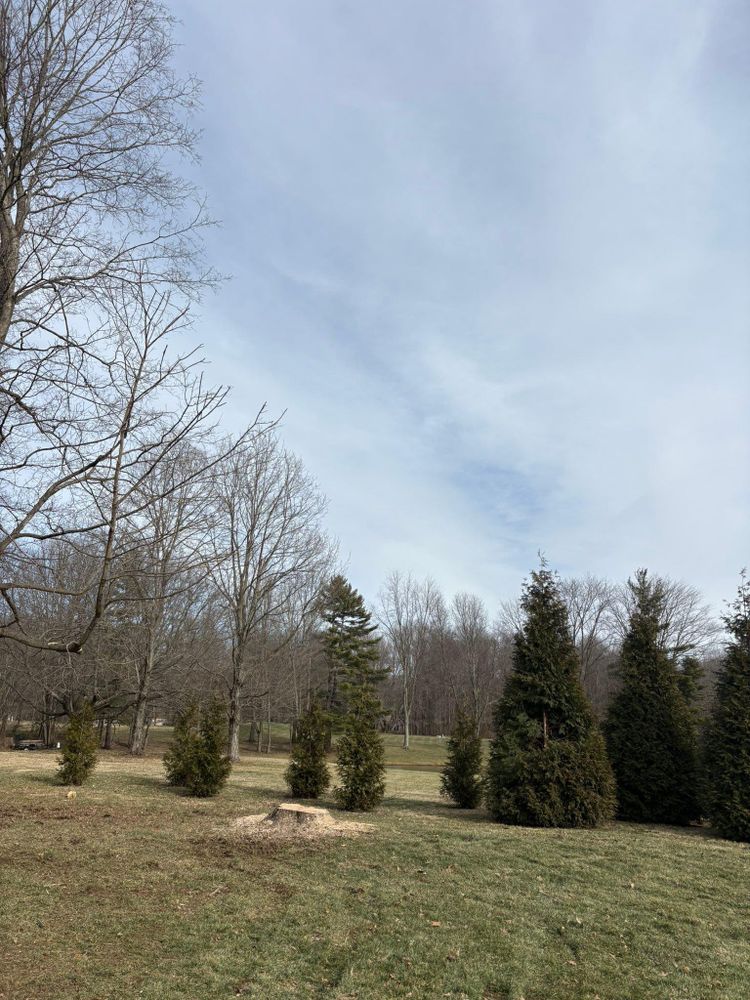 All Photos for Dig-It Tree Company in Mason, OH