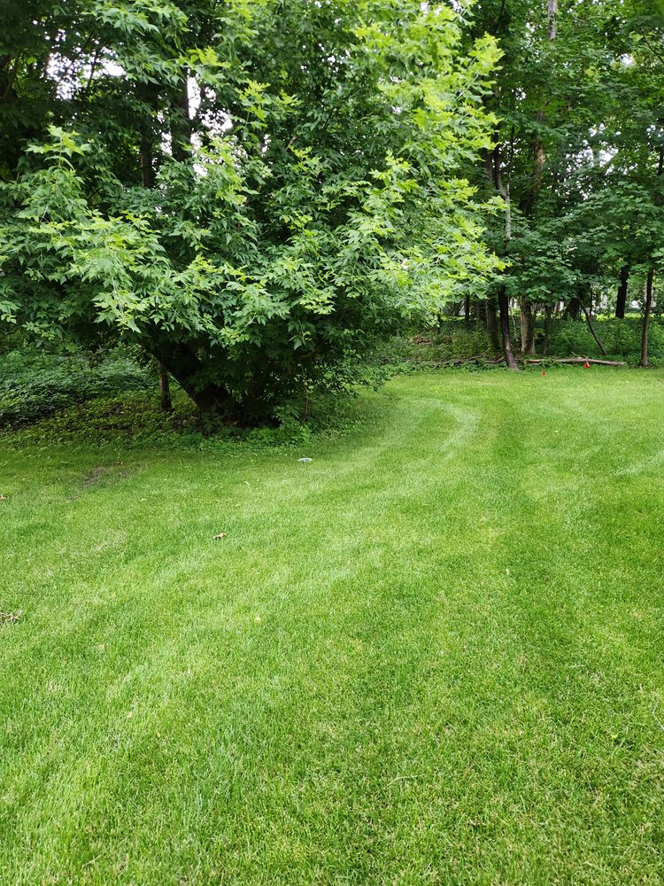 Mowing  for K & I Lawn Care Service  in Eden Prarie, MN