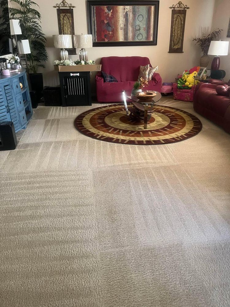 All Photos for Stain X Carpet Cleaning in Jacksonville, FL