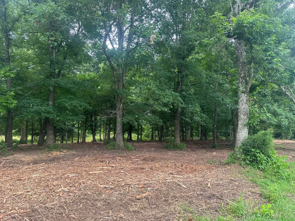 Our tree removal service includes expert trimming and safe removal of trees to enhance your property's aesthetic appeal, improve safety, and promote healthy growth of remaining vegetation. for Miller Farms Hay & Land Management in Philadelphia, TN