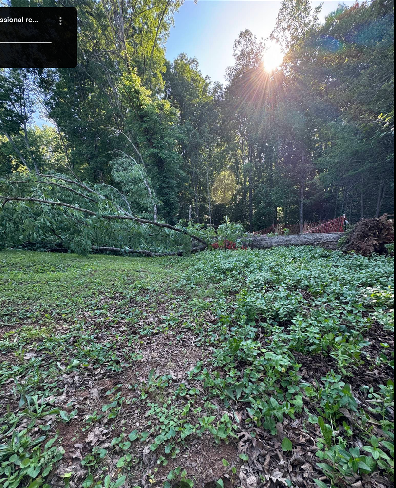 All Photos for Hamlett Tree Service LLC in Clover, VA