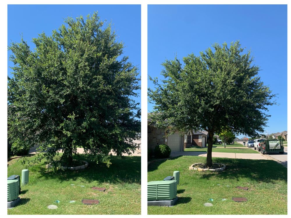 Lawn Care for Scalpel Lawn Service in Temple, TX