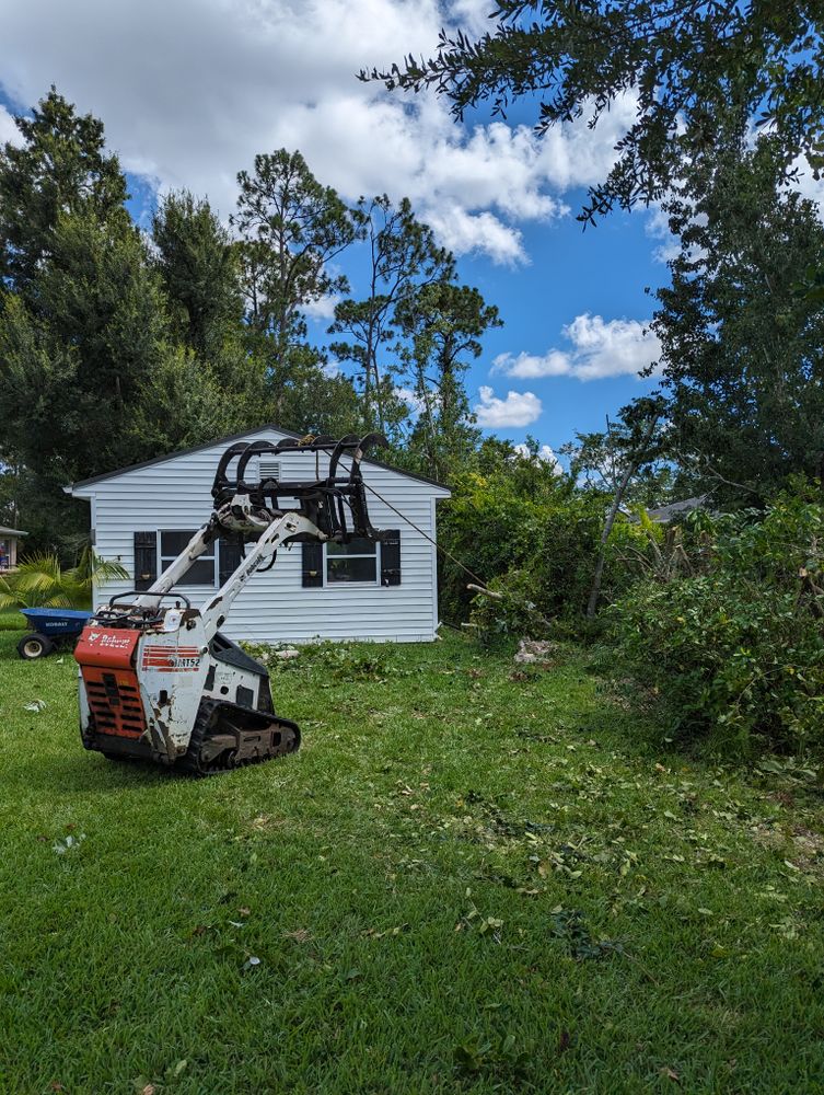 All Photos for Regal Tree Service and Stump Grinding in Wauchula, FL