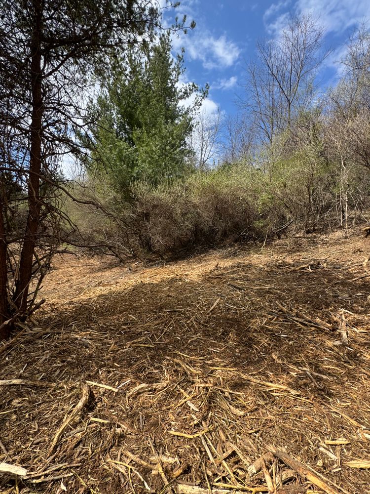 All Photos for Mountain Goat Land Management in Galax, VA