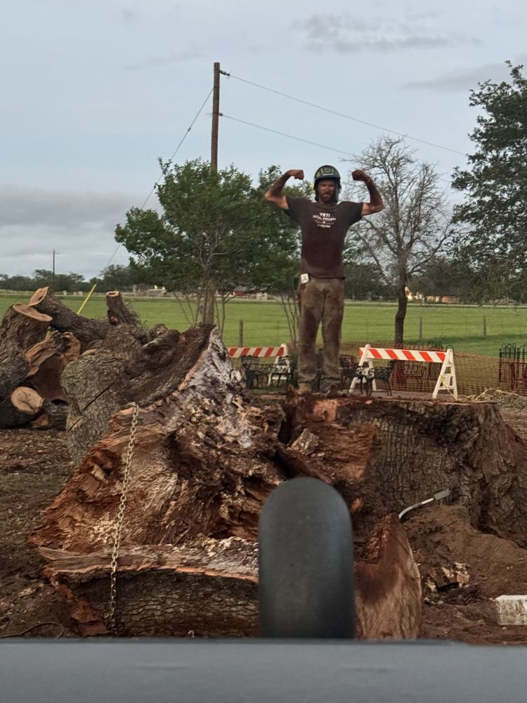 All Photos for Braun Tree Service in Floresville, Texas