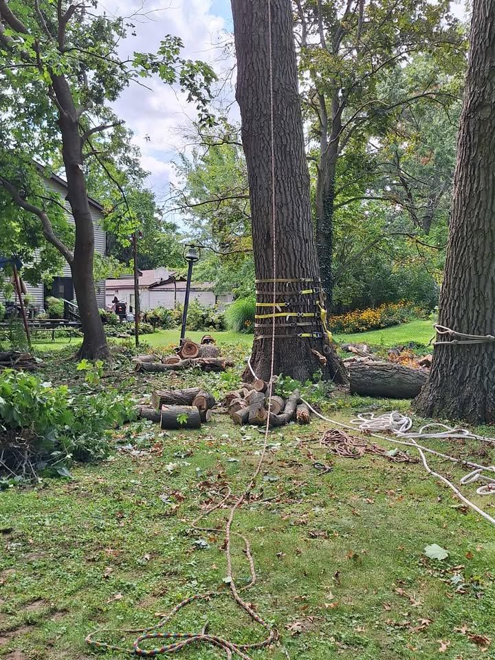 All Photos for Highborn Tree Service in Wheatfield, IN