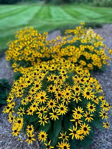 All Photos for Lakeview Outdoor Services in Sparta, NJ