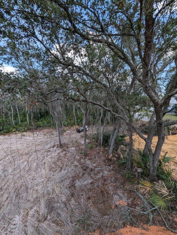 All Photos for Regal Tree Service and Stump Grinding in Wauchula, FL