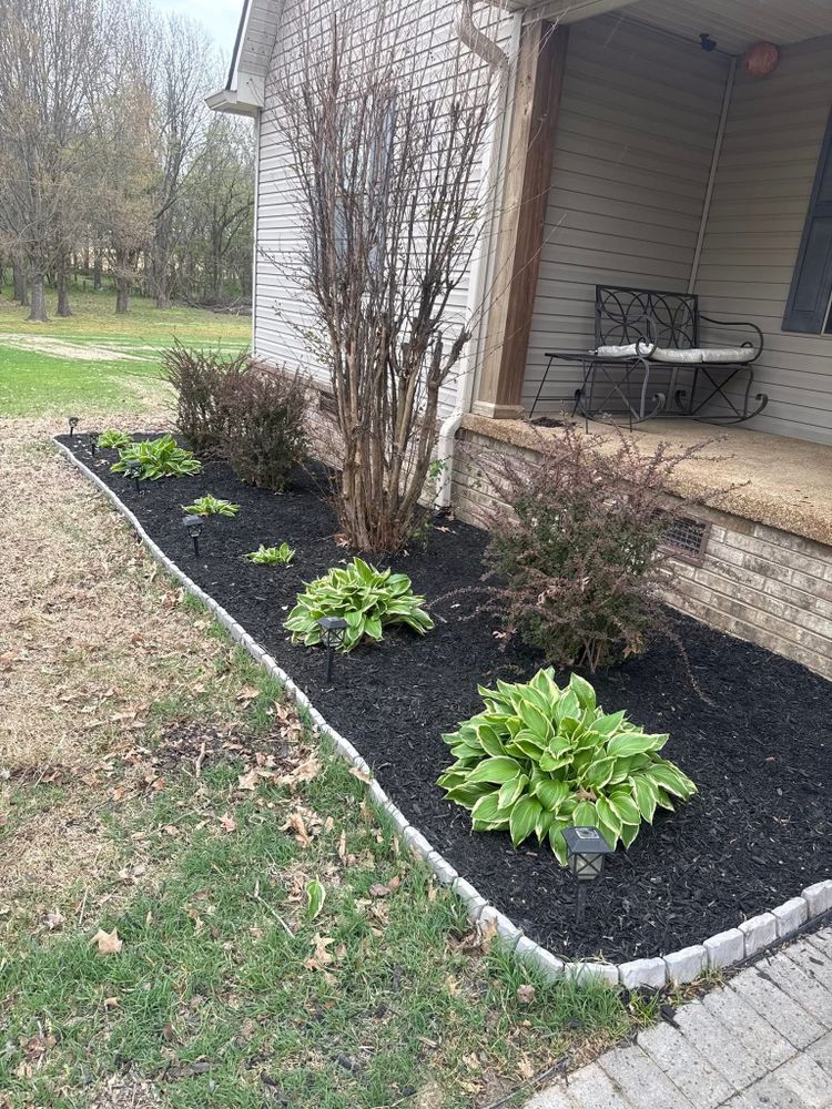 All Photos for Apex Lawn & Landscaping INC in Dyersburg, TN