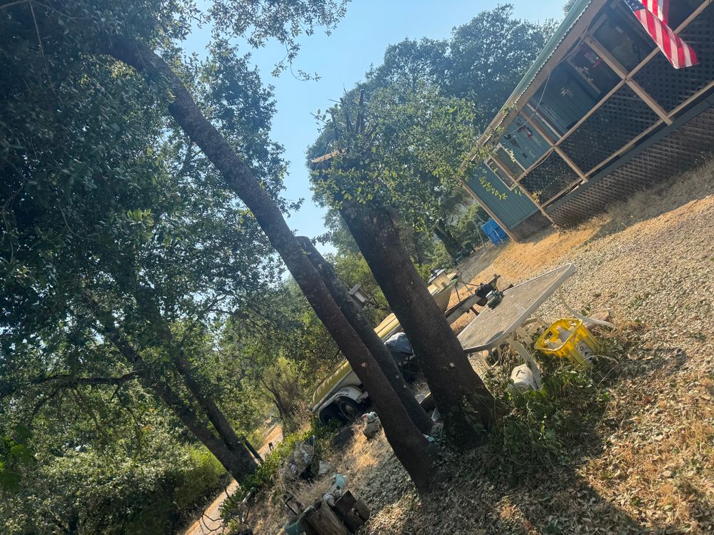 All Photos for Stanisloo’s Landscaping and Services in Potter Valley, CA