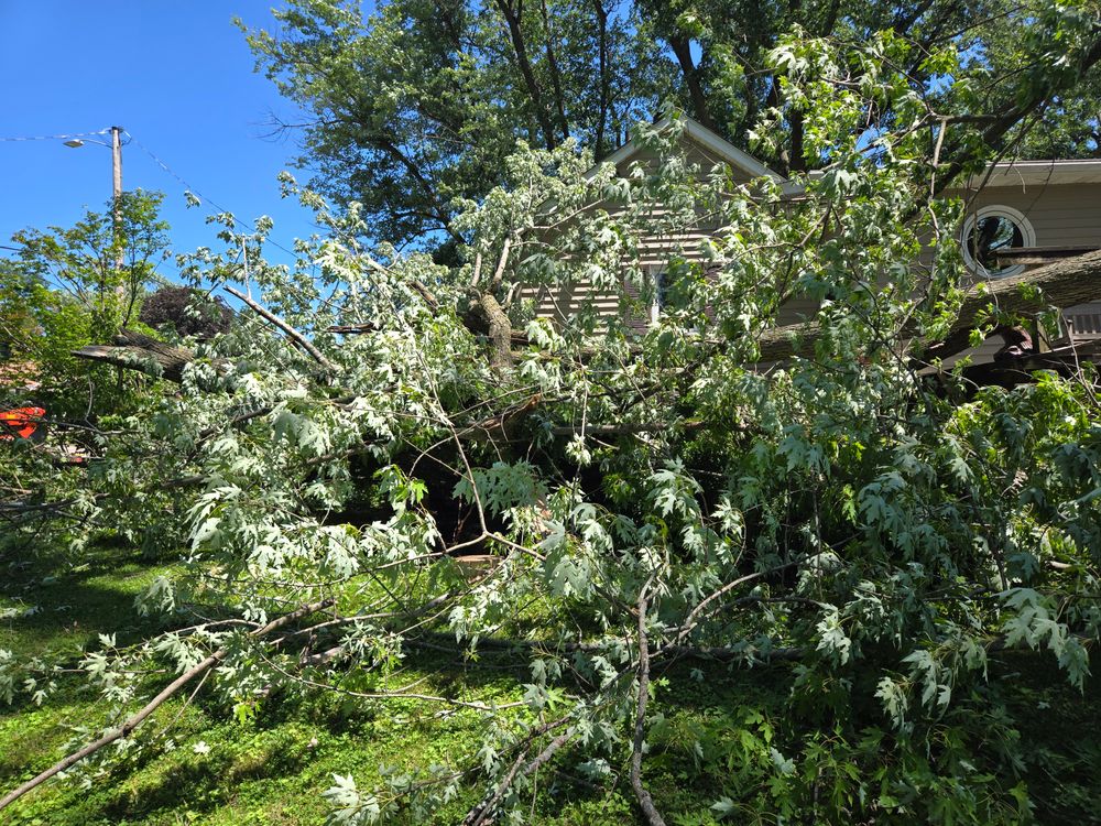 All Photos for Lawn Ranger Yard And Tree Service LLC in Ottumwa, IA