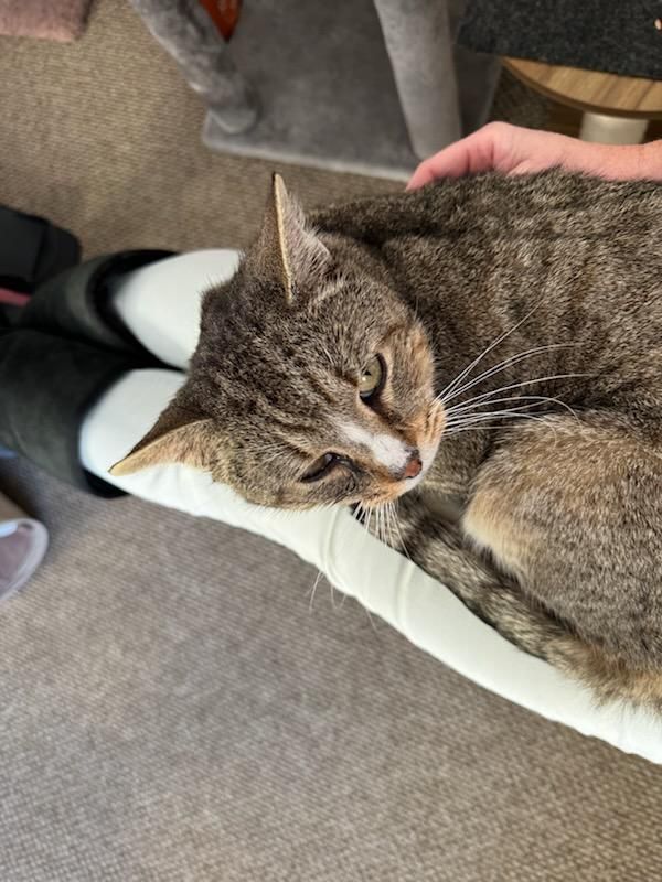 All Photos for Sullivan Sanctuary of Maine in Brunswick, ME