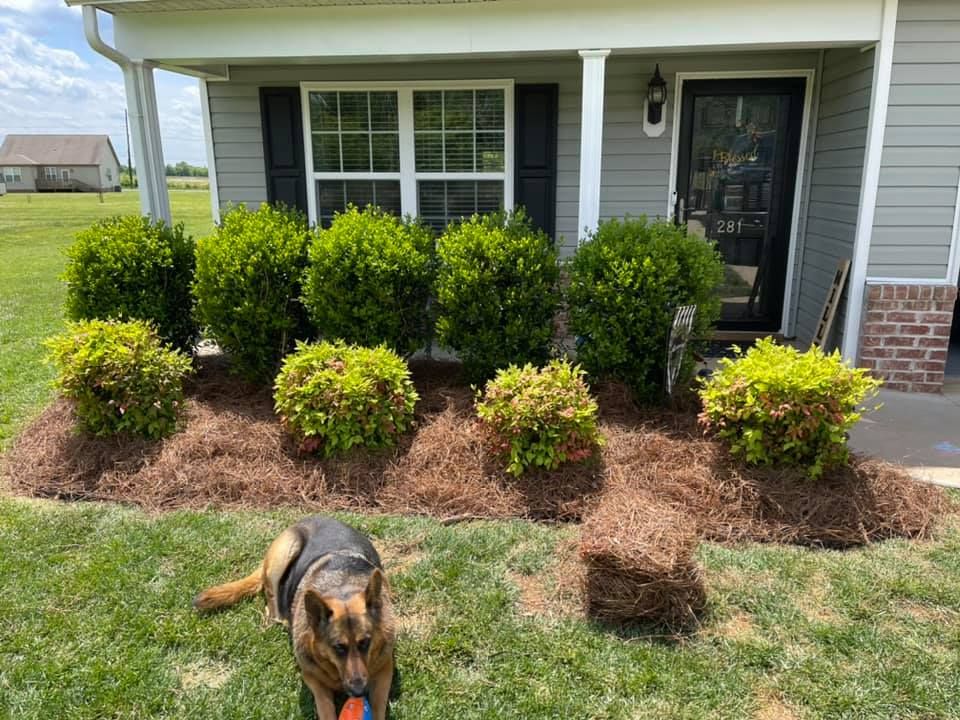 Pine Needle Installation  for Gallimore’s Lawn Care in Thomasville, NC