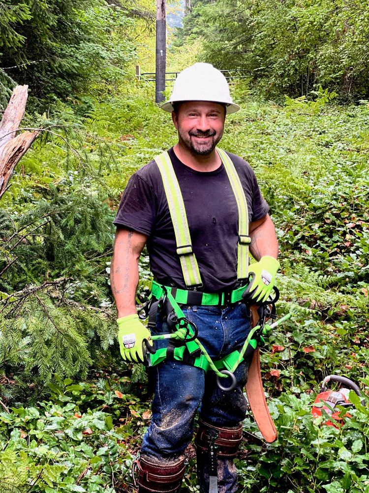 Tree Removal for Clippys Tree Pros in Stayton, OR