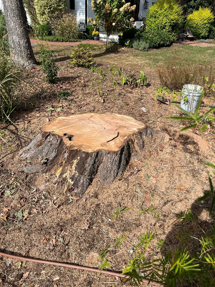 All Photos for Junk B Gone in Rougemont, NC