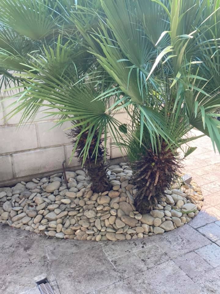 All Photos for White Sands Landscaping in Myrtle Beach, SC