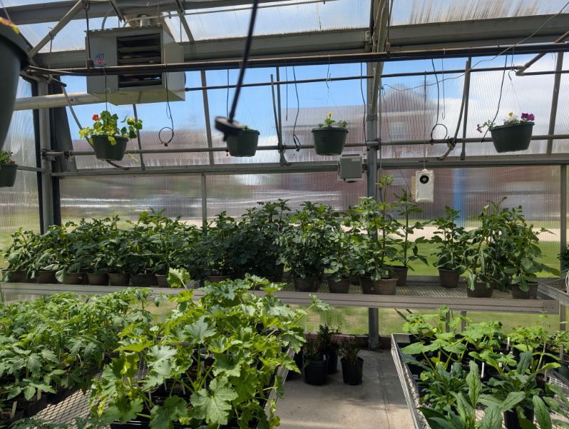 All Photos for Evolution Earthscapes, LLC in Ludlow, MA