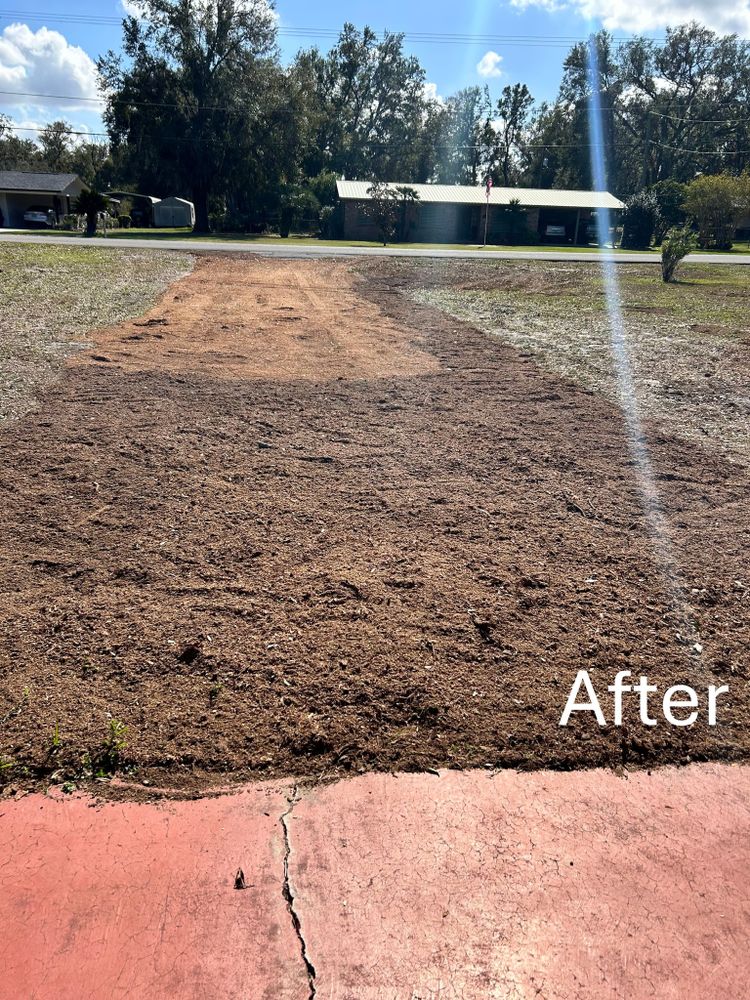 Tree Removal for Greene Acres Stump Grinding in Plant City, FL