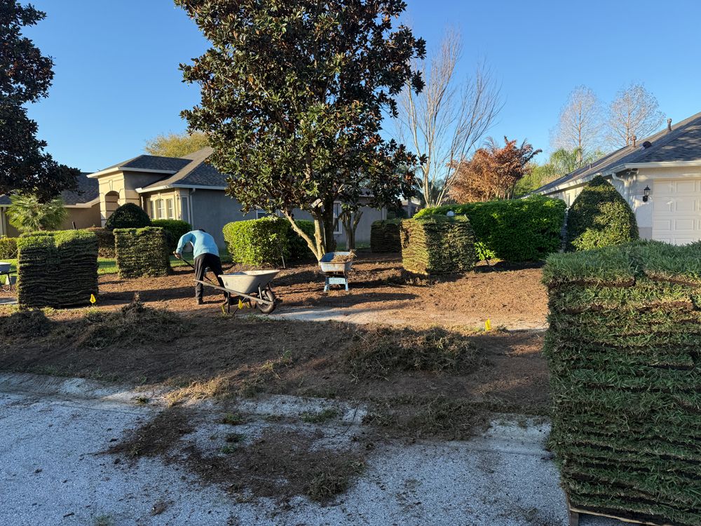 All Photos for Gulf Bay Sod in Clearwater, FL