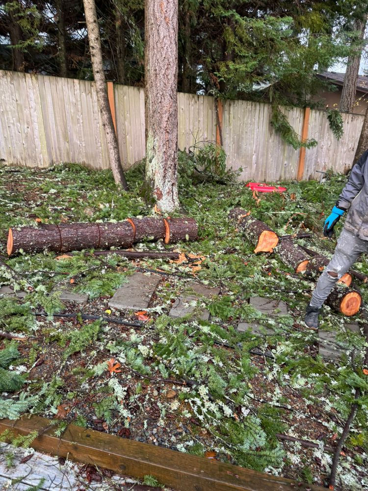 All Photos for Tony's Remodeling & Painting in Renton, WA