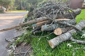 Our Debris Removal service efficiently clears leaves, branches, and clutter from around your home, enhancing curb appeal and maintaining a safe environment by preventing blockages or hazards in outdoor areas. for Red Line Window Rescue in Sarasota, FL