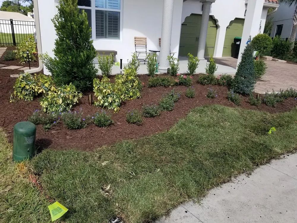 All Photos for Sam's French Drains and Landscape in Orlando, Florida