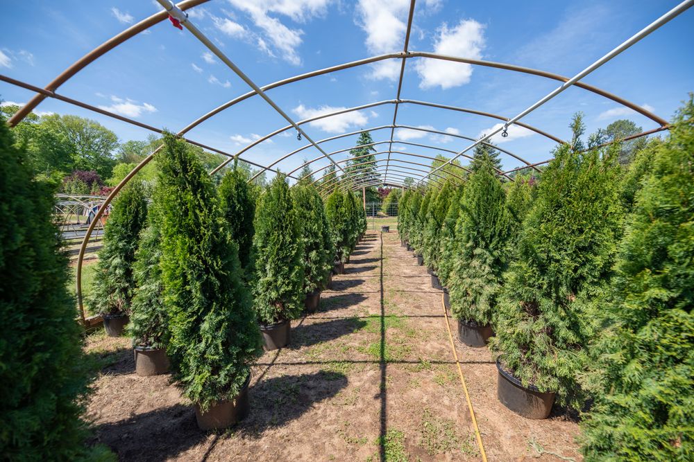 Premium Landscape Maintenance for  in Morristown, NJ