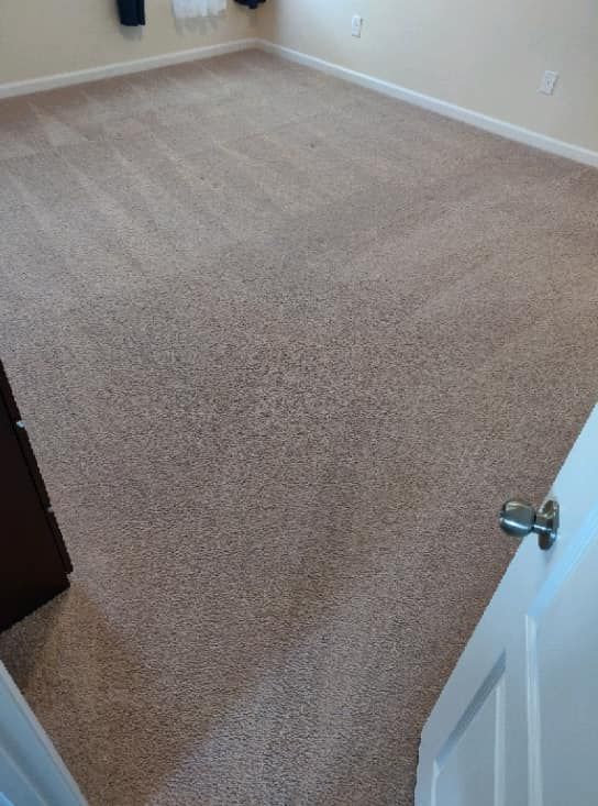 Carpet Cleaner for Steam Bros LLC in Greensboro, NC