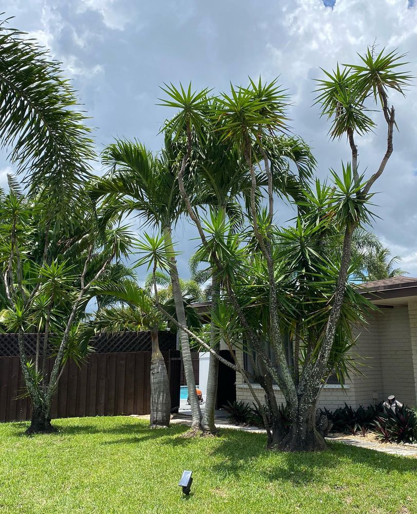 All Photos for Green Touch Property Maintenance in Broward County, FL