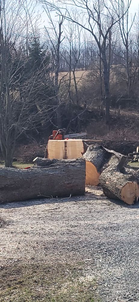 Our Tree Removal service safely removes hazardous, damaged, or unwanted trees from your property using professional equipment and proven methods, protecting your home, landscape, and family while leaving the area clean. for Fowler's Tree Service LLC. in New Albany, PA
