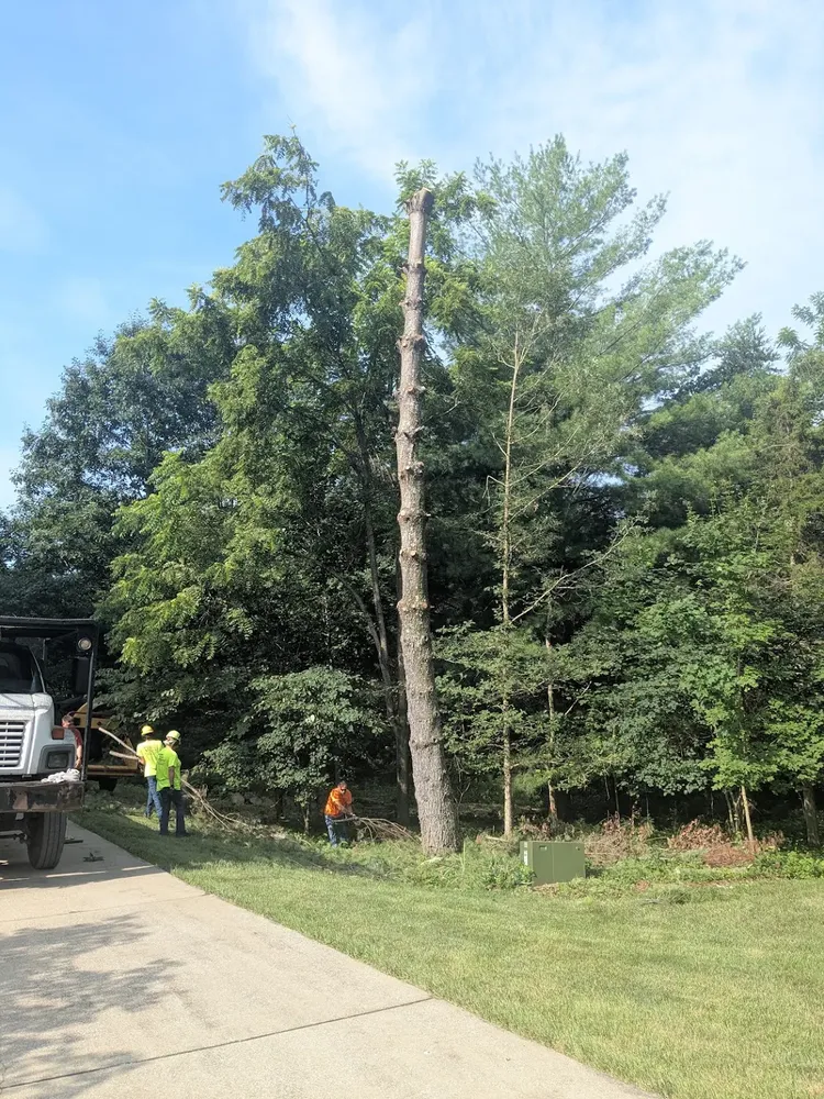 All Photos for Lightning Tree Service in Corydon, IN