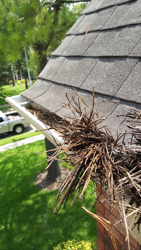 Our professional gutter cleaning service ensures your gutters are free from debris and blockages, protecting your home from water damage. Trust us to keep your gutters in top condition. for Power Pressure Wash in Houston, TX