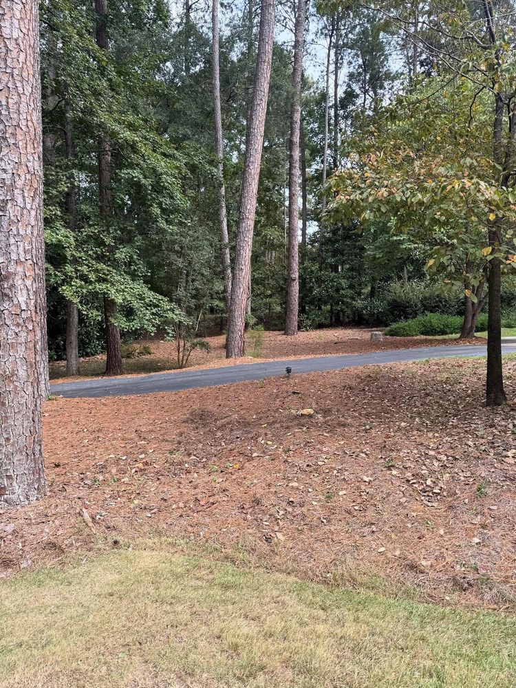 All Photos for JFS Outdoor Services in Aiken, SC